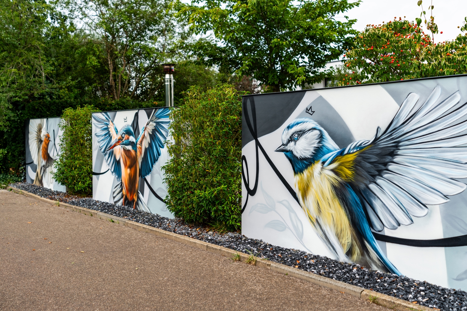 Totaler der drei Wände mit Blaumeise, Eisvogel und Rotkehlchen.